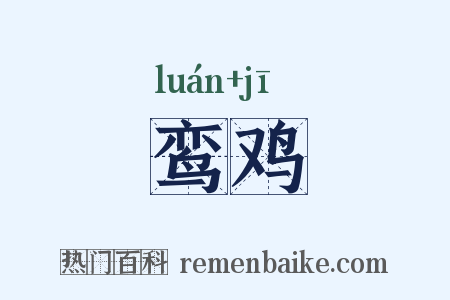 鸾鸡是什么意思的图片